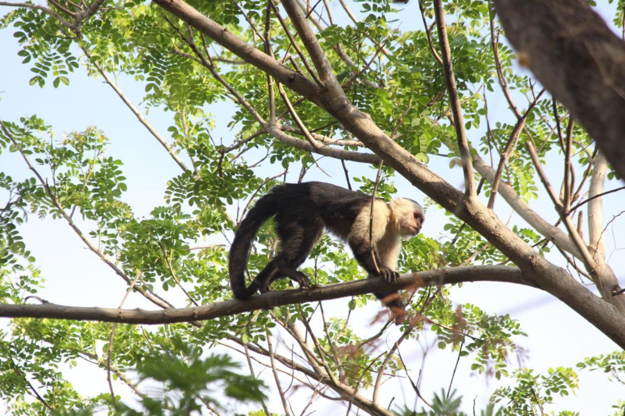 San Simian Lodge La Laguna Buitenkant foto